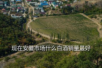 現(xiàn)在安徽市場什么白酒銷量最好