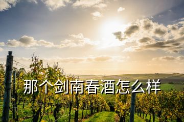 那個劍南春酒怎么樣