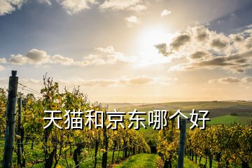 天貓和京東哪個好