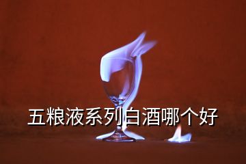 五糧液系列白酒哪個好