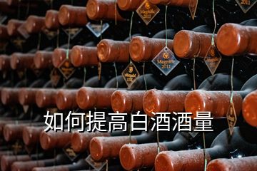 如何提高白酒酒量