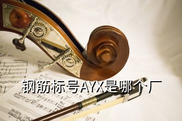 鋼筋標號AYX是哪個廠