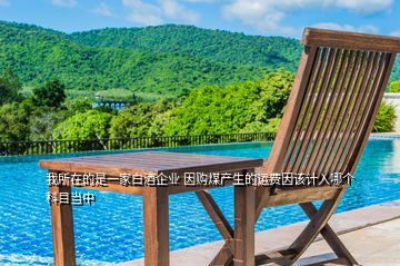 我所在的是一家白酒企業(yè) 因購煤產(chǎn)生的運(yùn)費(fèi)因該計(jì)入哪個科目當(dāng)中