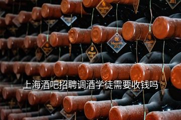 上海酒吧招聘調酒學徒需要收錢嗎