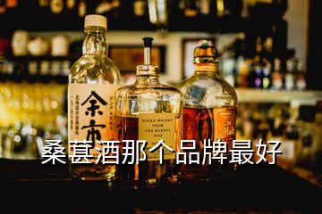 桑葚酒那個(gè)品牌最好