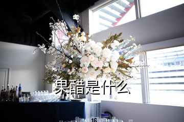 果醋是什么