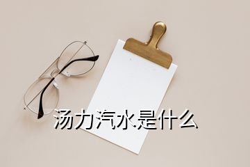 湯力汽水是什么