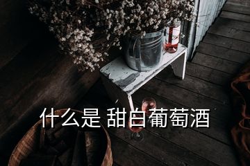 什么是 甜白葡萄酒