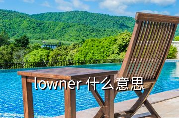 lowner 什么意思