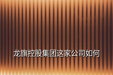 龍旗控股集團(tuán)這家公司如何