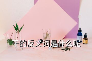 干的反義詞是什么呢