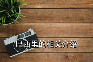 巴西里的相關(guān)介紹