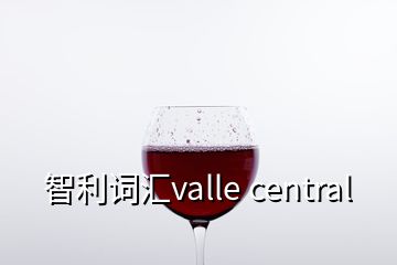 智利詞匯valle central