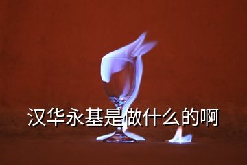 漢華永基是做什么的啊