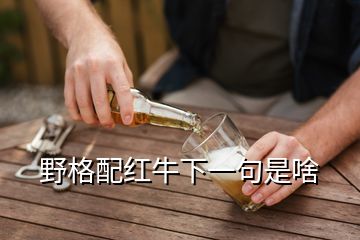 野格配紅牛下一句是啥