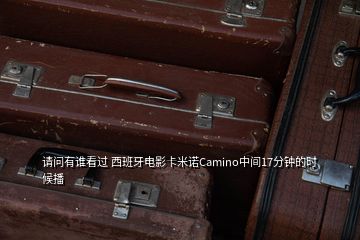 請問有誰看過 西班牙電影卡米諾Camino中間17分鐘的時候播