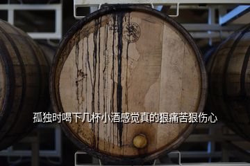 孤獨時喝下幾杯小酒感覺真的狠痛苦狠傷心