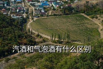 汽酒和氣泡酒有什么區(qū)別