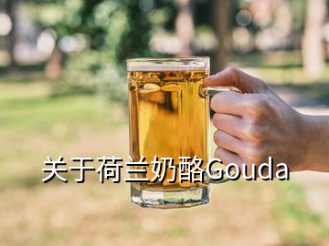 關(guān)于荷蘭奶酪Gouda