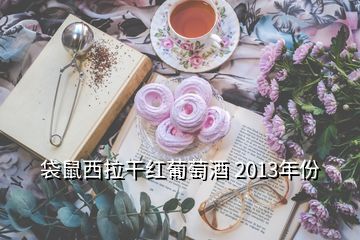 袋鼠西拉干紅葡萄酒 2013年份