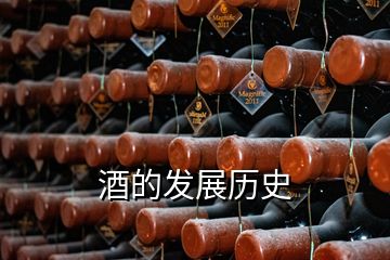 酒的發(fā)展歷史