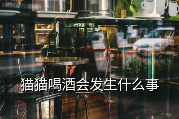 貓貓喝酒會發(fā)生什么事