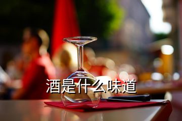 酒是什么味道