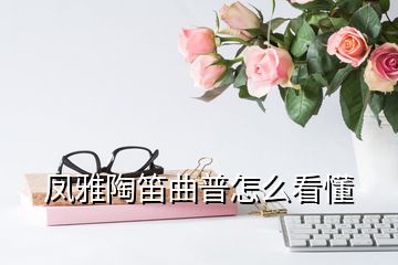 鳳雅陶笛曲普怎么看懂