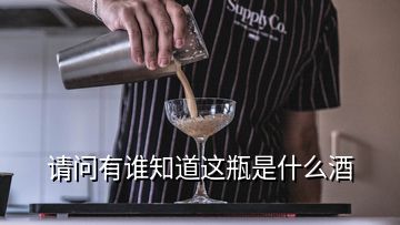 請問有誰知道這瓶是什么酒