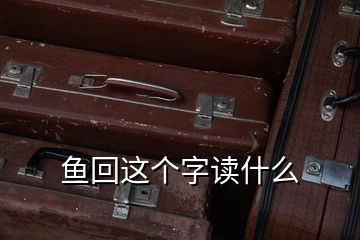 魚回這個字讀什么