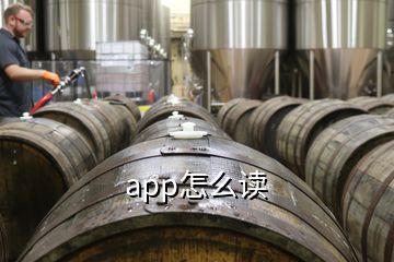 app怎么讀