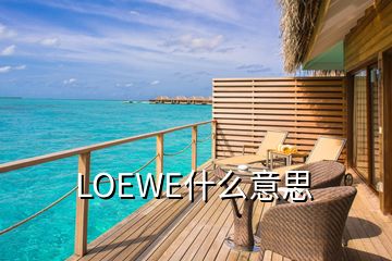 LOEWE什么意思