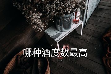 哪種酒度數(shù)最高