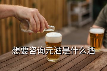 想要咨詢元酒是什么酒