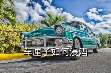 車?yán)遄尤绾谓?></p>

</div>
</div>
<div   id=