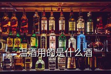 溫酒用的是什么酒