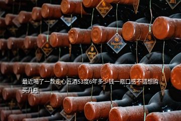 最近喝了一款走心匠酒53度6年多少錢(qián)一瓶口感不錯(cuò)想購(gòu)買(mǎi)幾瓶