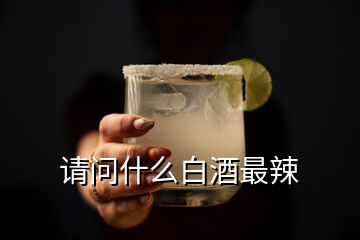 請問什么白酒最辣