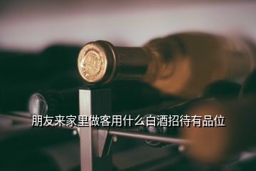 朋友來家里做客用什么白酒招待有品位