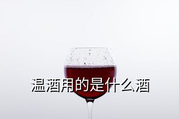 溫酒用的是什么酒