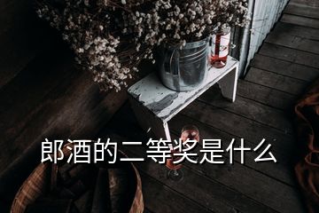 郎酒的二等獎是什么