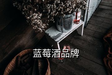 藍(lán)莓酒品牌