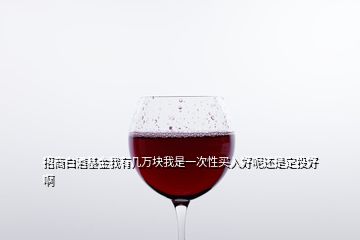 招商白酒基金我有幾萬塊我是一次性買入好呢還是定投好啊