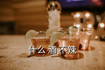 什么 酒 不辣