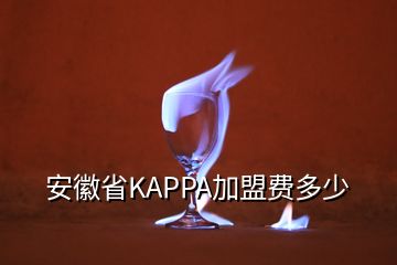 安徽省KAPPA加盟費(fèi)多少