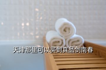 天津那里可以買(mǎi)到真品劍南春