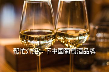 幫忙介紹一下中國葡萄酒品牌