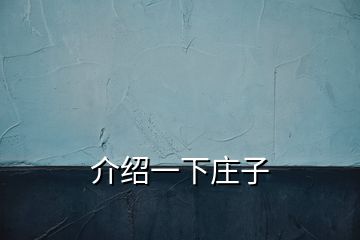 介紹一下莊子