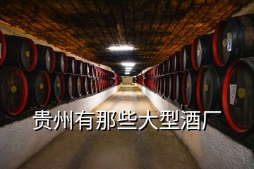 貴州有那些大型酒廠