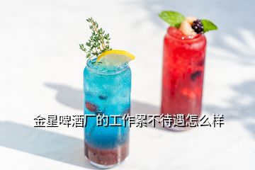 金星啤酒廠的工作累不待遇怎么樣